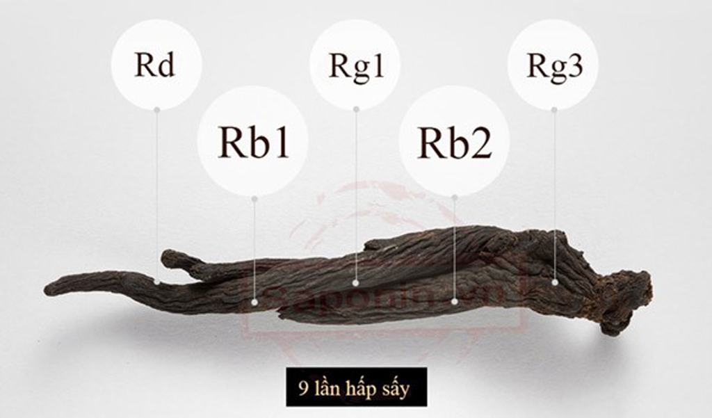 Bạn Có Đang Lãng Phí Tiềm Năng Sức Khỏe? Khám Phá Ngay Hắc Sâm Chìa Khóa Vàng Cho Cơ Thể Bất Bại!