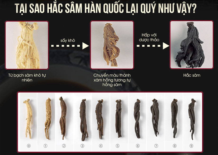 Bạn Có Đang Lãng Phí Tiềm Năng Sức Khỏe? Khám Phá Ngay Hắc Sâm Chìa Khóa Vàng Cho Cơ Thể Bất Bại!