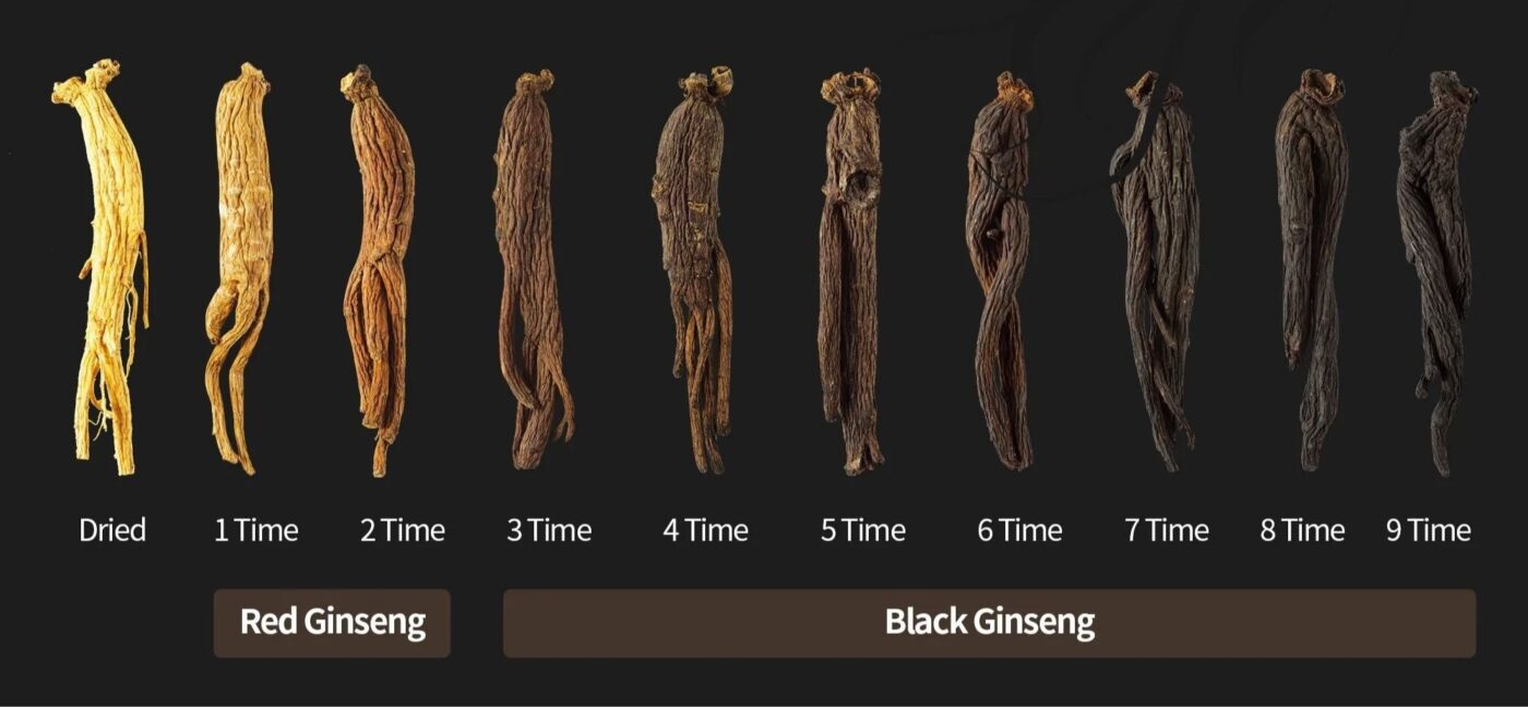 Công Dụng Nổi Bật Của Hắc Sâm Với Sức Khỏe: Khám Phá "Báu Vật" Cho Cơ Thể Toàn Diện